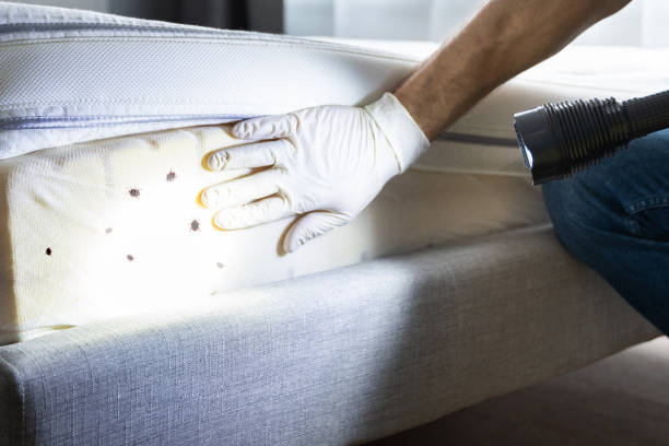 Best Pest Inspection Near Me  in Langhorne Manor, PA